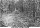 Polk Junction, Iowa. DMCI
