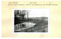 Adolf Pettinger's Land