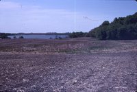 Larry Braby's Farm Before and After a Wetland Construction Project.