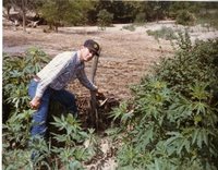 Wayne Mown, State Aide, Shows Sediment from Hog Lot