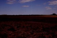Larry Braby's Farm Before and After a Wetland Construction Project.