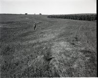 Farmer Stands in a Pasture Close to Corn Ffield