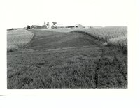 Jackson County Home farm strip cropping