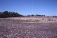 Larry Braby's Farm Before and After a Wetland Construction Project.