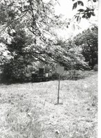 Outdoor classroom with Craig Stange, 1987