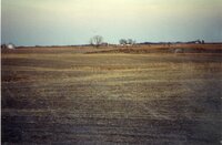 1990s Terraces on Gary Schweitzer's farm