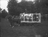 Wagon bed used during sheep shearing, 1904