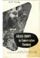 Grass crops in conservation farming