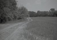 1995 Fields with tire tracks 