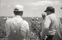 1978 Men on no-till tour