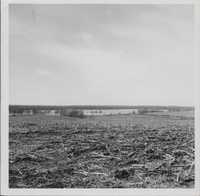 Chariton River flooding - 1961.