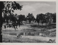 Pond on the Brown farm.