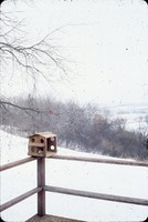 Bird feeder.
