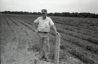 Photos of unidentified farmer standing in a field.