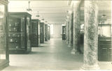 Various displays in the Museum of Natural History in Macbride Hall, the University of Iowa, 1950s?