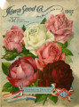 Iowa Seed Company Catalog 1907