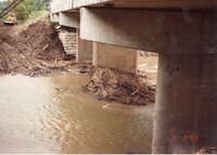 1993 Flint River Bridge after flood