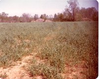 Photograph Collection Of Fisk Ramp Site 