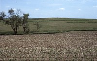 Conservation progress on Jim Fassler's farm.