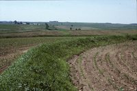 Quad State Progress Award to Frank Todd's farm.