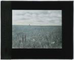 Prairie near Lime Springs (Howard County), Iowa