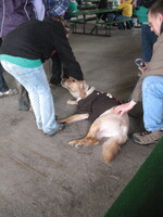 2011 Earth Day