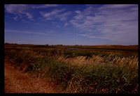 Waterway Construction on the Moeller Farm.