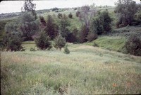 Dam construction on the Nelson farm.