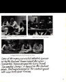 1977 Yearbook