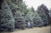 Don Bergman Windbreak, 1995