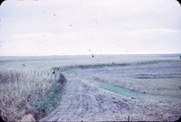Grassed, back-sloped terrace - 1969.
