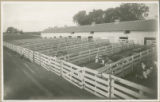 Fenced areas next to a long barn used as experimental pens for cattle, 1930