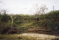 1998  Flint Creek bank on Robert Yaeger<br /><br />
property before any restorative work is completed. 