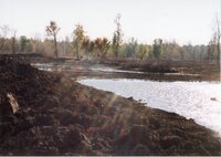 2002  Wetland Construction at Brockway LLLP
