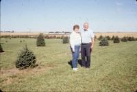 Windbreak on the farm of Don and Phyllis Conley.