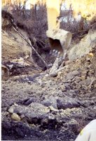 Photograph Collection Labeled Rhodes &amp; DNR, 2003