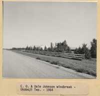 Windbreak on East Okoboji & Dale Johnson's Farm.