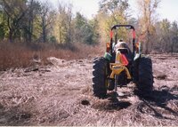 2002 Planting trees at Brockway LLLP 