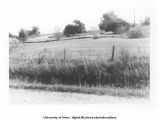 Daileys, IA. DMCI