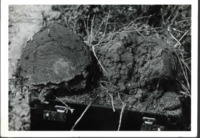 Testing Dirt Clod Samples from the Field