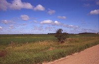 Farmland and Clear Skies.
