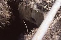 Damaged drop inlet.
