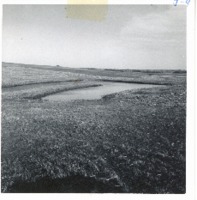 Dr. Fierbach pond, 1963