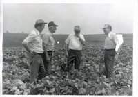 Harold Buckley in field with three unidentified men 