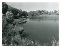 Wilson Lake, Lee County