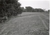 1995  Proposed Terracing Project site on Dale Edmonds' farm
