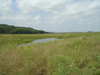 2007 Jack Strawhacker photos of pastures and ponds