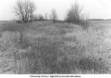 Stowes, Iowa. DMCI