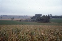 Terraces and a wildlife area on Ron Huseman's farm.