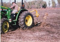 2002 Planting trees at Brockway LLLP 